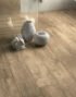 Portselankivid Slowood Nocciolo 30x120x2cm - Image 3