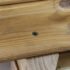 CAMO Premium puidukruvid 4,2x41mm 1750 tk. - Image 3